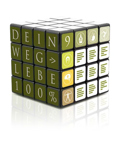 Dein Weg – lebe 100 % · 9-Felder-Energiematrix